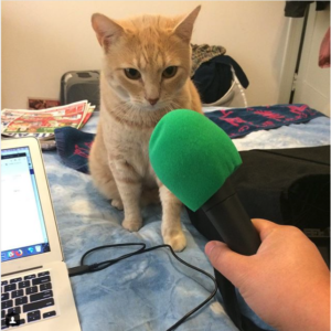 Sherbie and his Pawcast